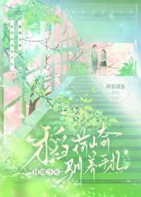 寒门首辅TXT