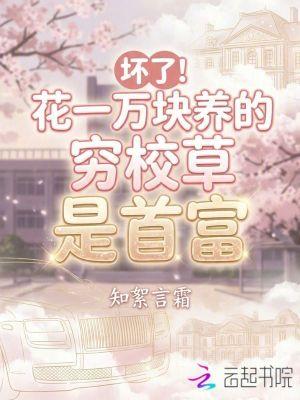 总裁要不起