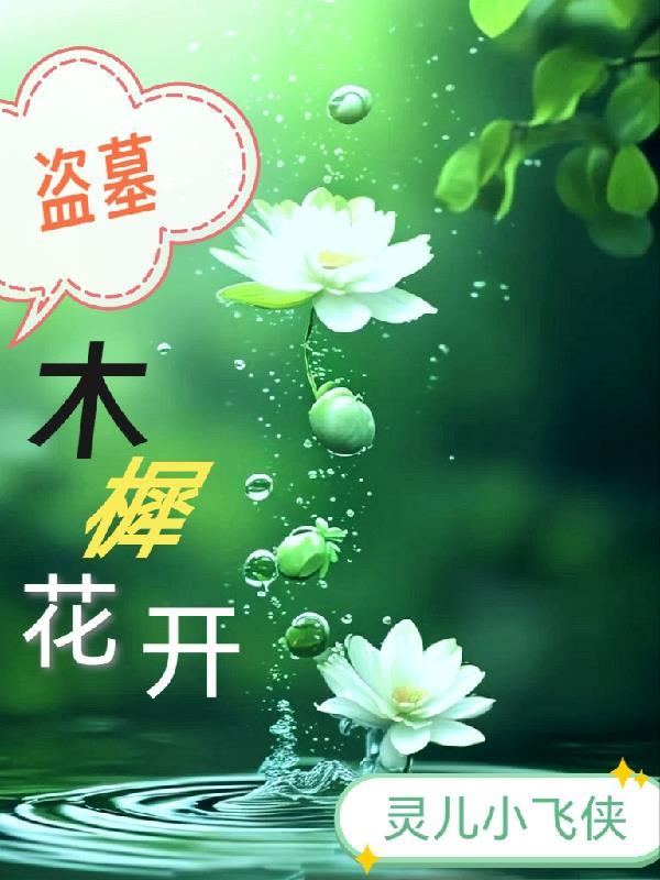 仙武星穹