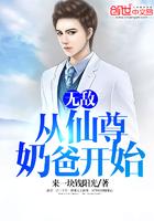 娘娘总想爬宫墙
