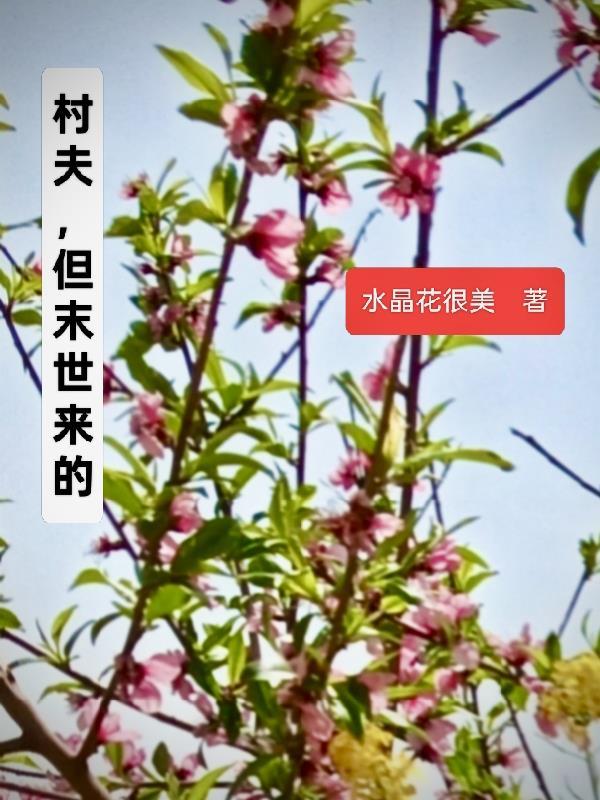 明珠映夜