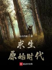 大宋实录传