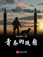 四合院：开局截胡秦淮茹，震惊全院
