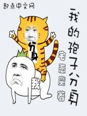 Fate梦幻旅程