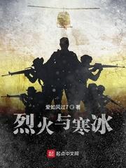 大宋的变迁