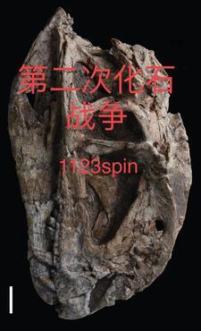 怀四胞胎住大院，深情大佬撩上瘾