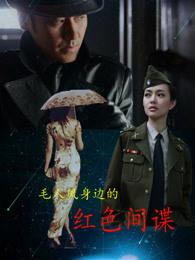 林墨苏迎夏