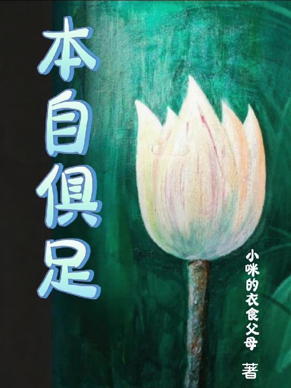混沌霸天:叶辰逆世传奇