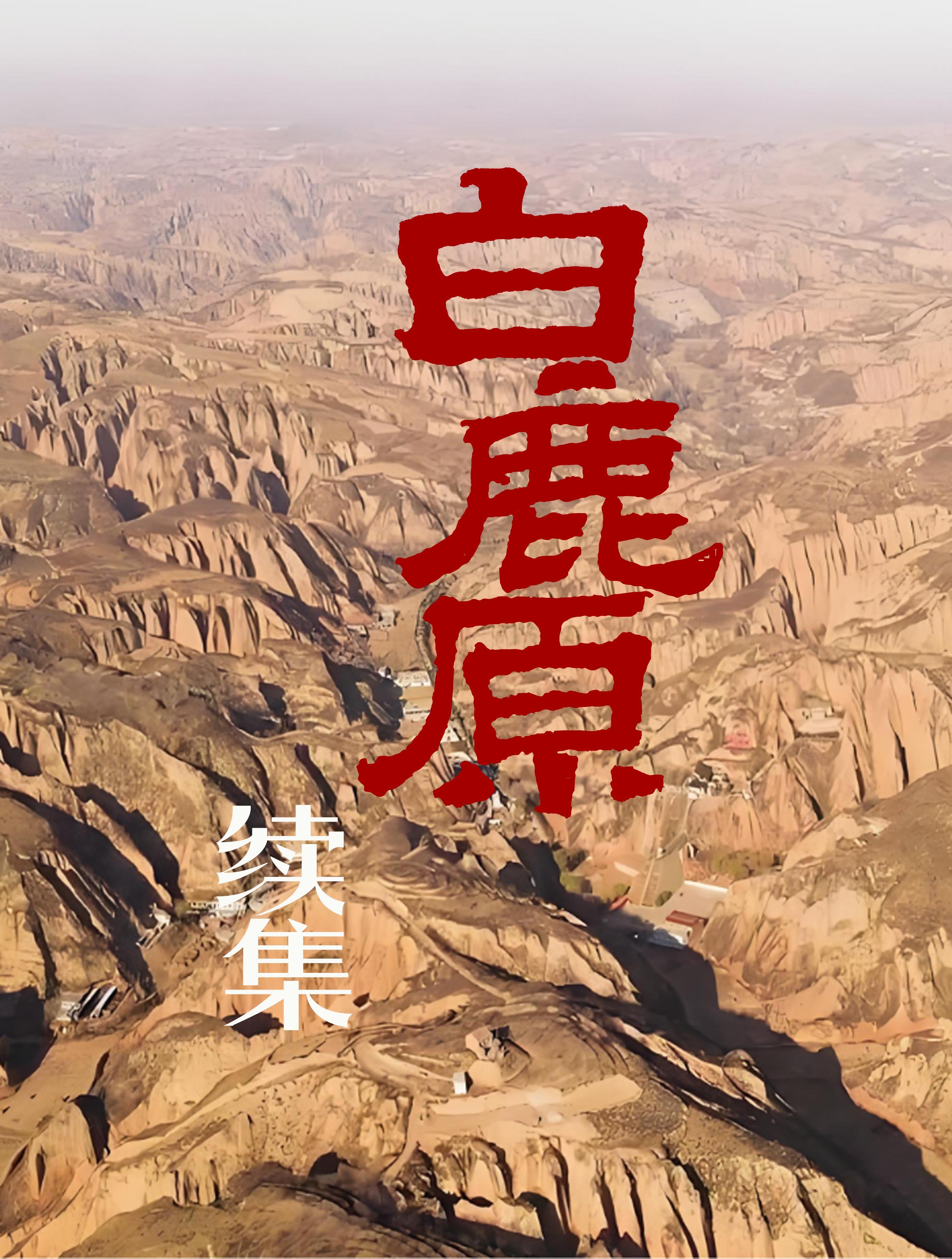我喜欢你免费阅读