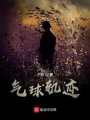 赛特斯N