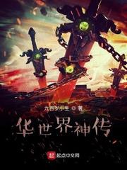 苏占小说