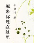 莫负寒夏讲什么