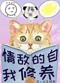 雷锋系统txt全文番外